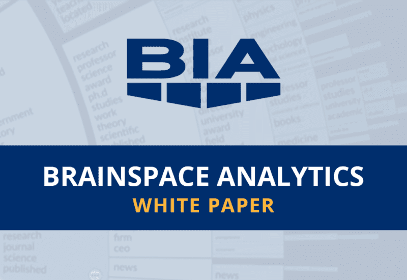 Brainspace White Paper