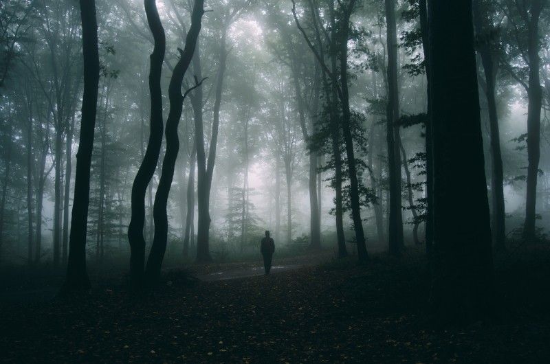 Are You Lost in the Woods Without an eDiscovery Game Plan?